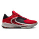Nike Zoom Freak 4 "Birthstone"